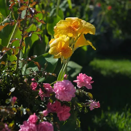 Dimitris Apartamento